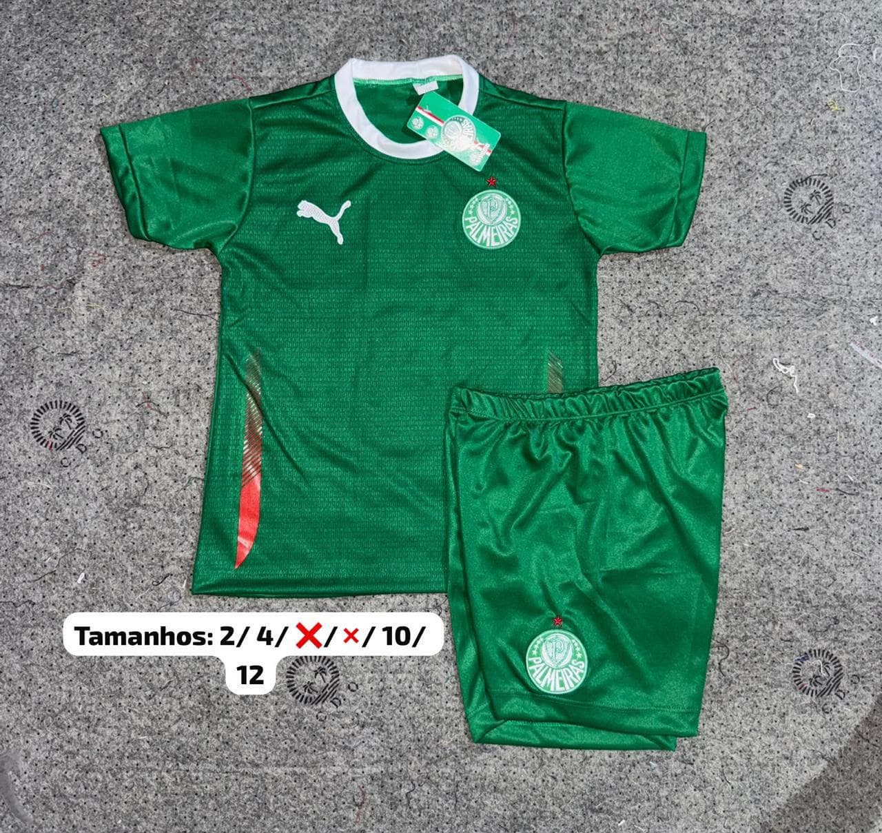 Conjunto Infantil Palmeiras